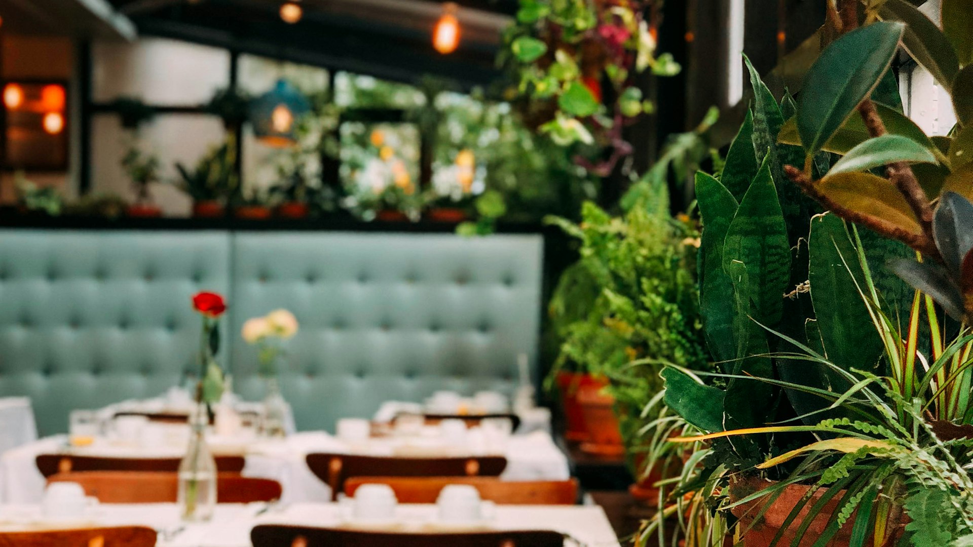 食品盛り付けアート